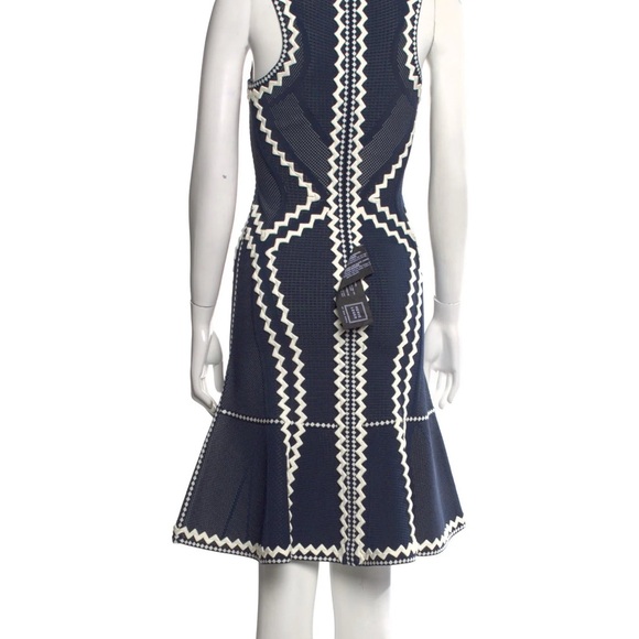 Herve Leger Navy and Cream Mini Dress - NWT - Picture 3 of 7